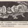 21世纪大地震 48