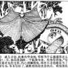052孙膑和庞涓 75